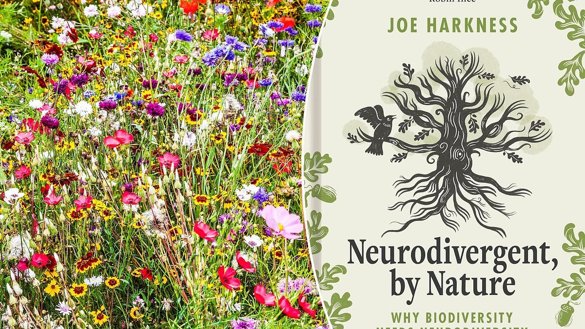 Joe Harkness'ın Doğası Gereği Nörodiverjanlık: Otizmli kişiler neden doğayla bütünleşir?