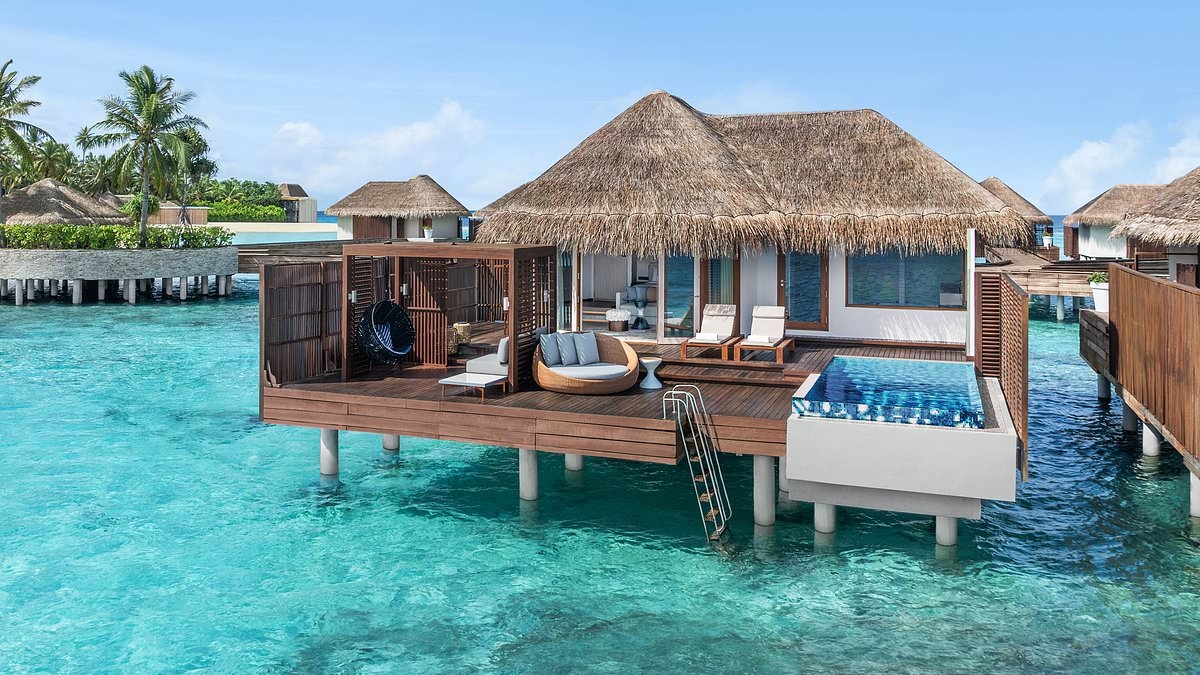 Als weltbester Malediven-Experte habe ich fast jedes Resort besucht ... und kann Sie davor bewahren, Tausende zu verschwenden. Hier sind meine 25 handverlesenen Empfehlungen für den besten Urlaub, den Sie je hatten. Lesen Sie unbedingt weiter.