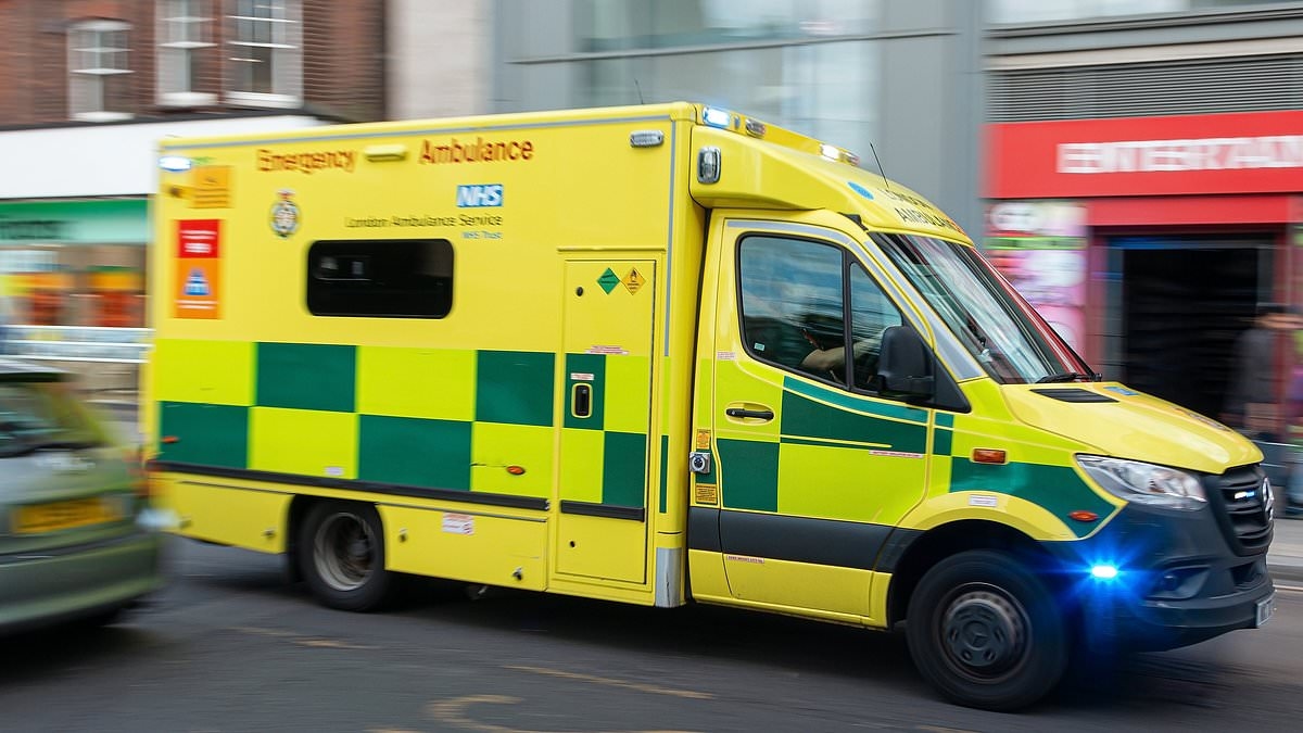 Los pacientes con accidente cerebrovascular no deben verse tentados a acudir por sus propios medios al hospital a pesar de los retrasos de las ambulancias, advierte una organización benéfica