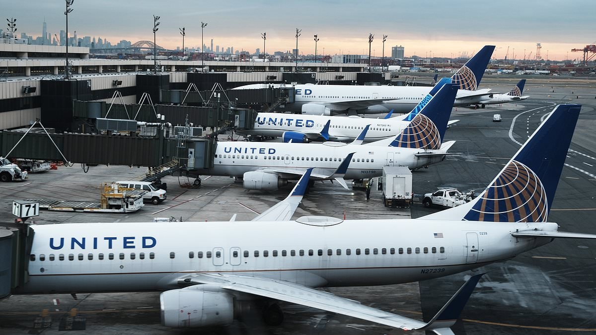 Gridlock at major US airport as staffing shortages ground flights for hours