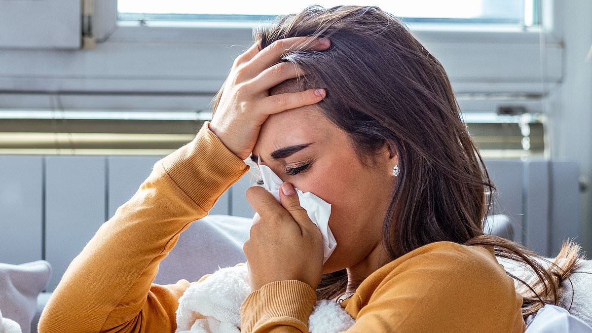 Nu het aantal verkoudheden en Covid-gevallen sneller stijgt dan verwacht en een gevaarlijke griepvariant nu het ergste seizoen in jaren dreigt... de deskundige gids om jezelf te beschermen tegen de vervelende hoest- en niesbuien van deze herfst
