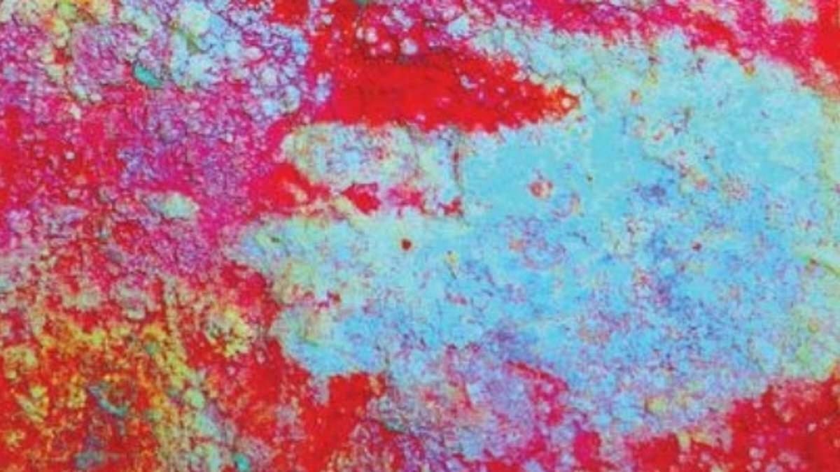 Ontdekking van 64.000 jaar oude grotkunst dwingt wetenschappers tot heroverweging van de menselijke oorsprong