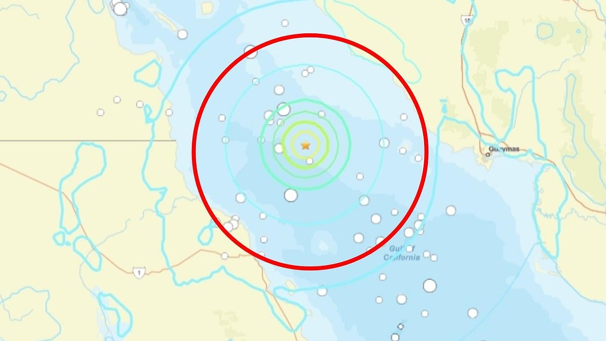 Un puissant séisme secoue un bastion du cartel dans le golfe de Californie