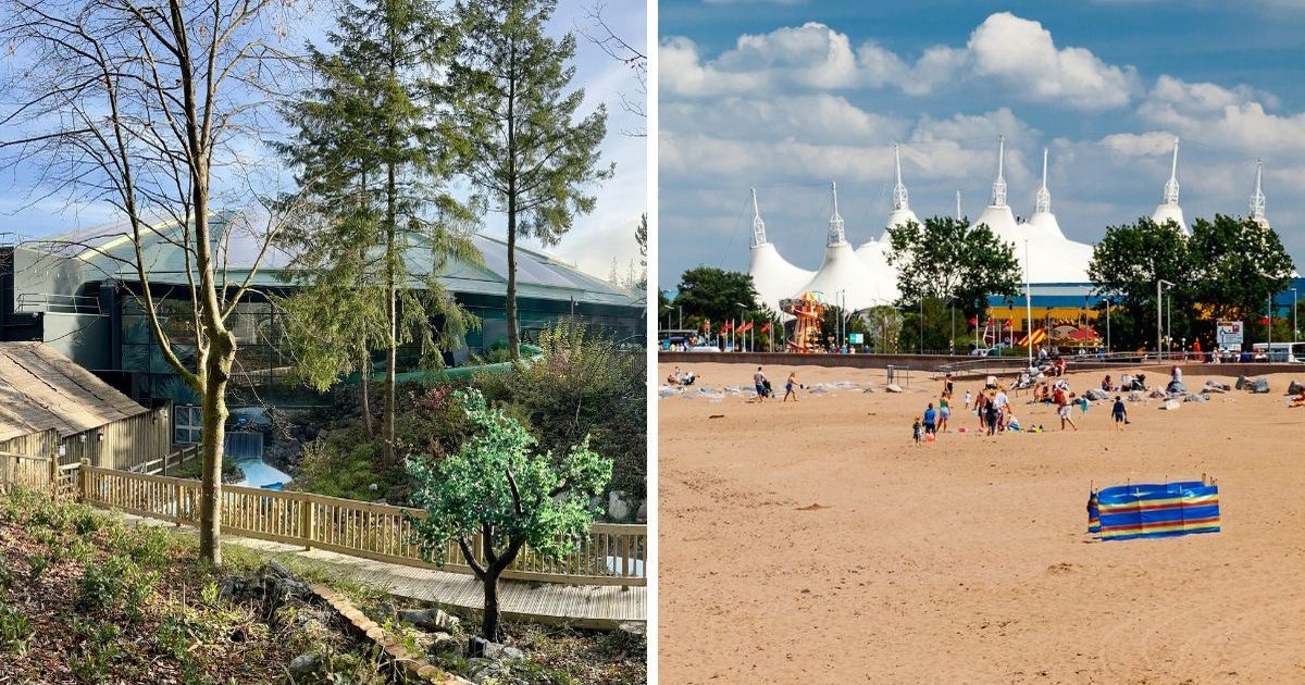 'I compared Center Parcs to Butlin's and there's only one obvious verdict'