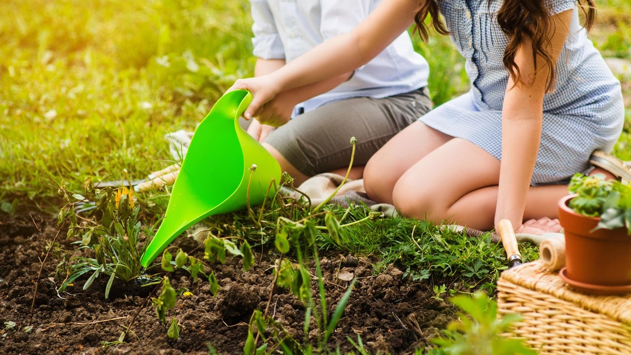 Garden hacks: 4 tips on how vinegar becomes a true miracle cure in the garden