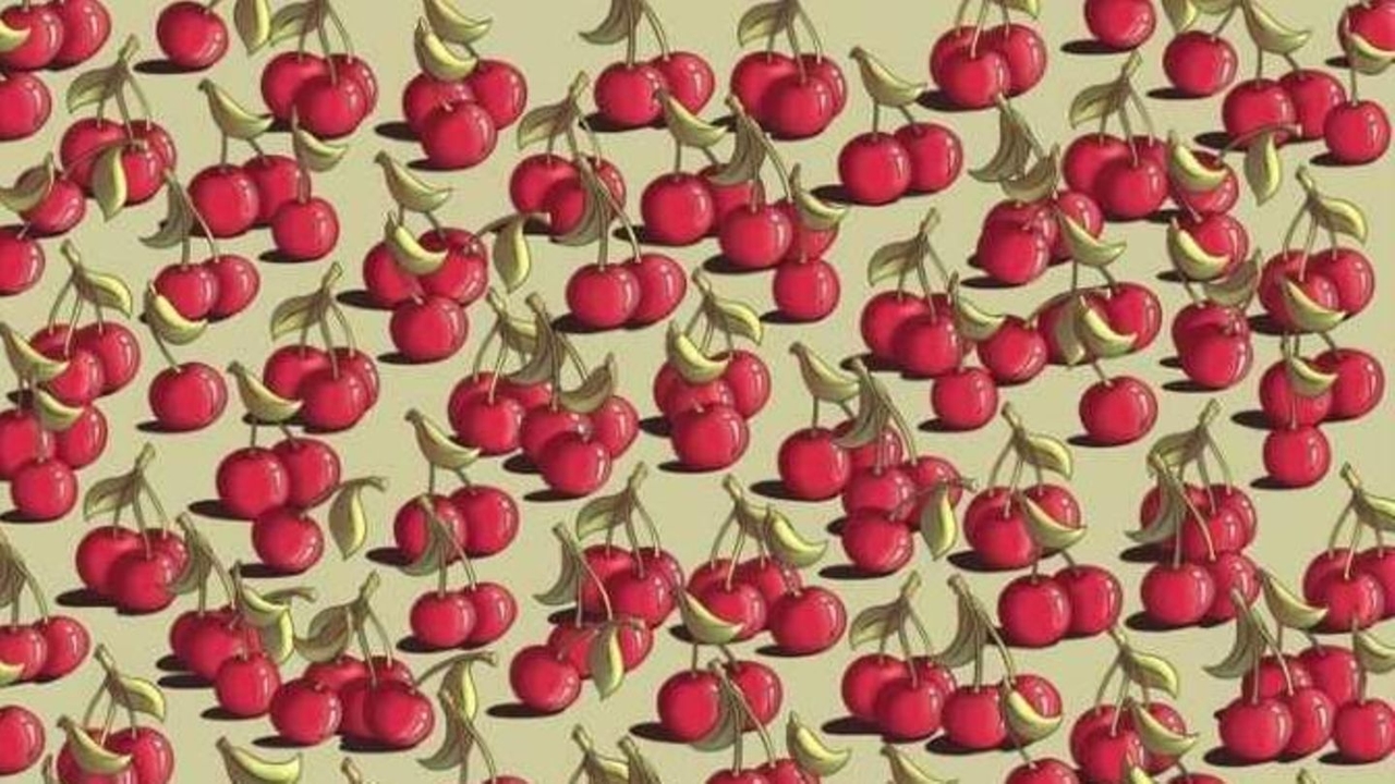 Imagem oculta: Apenas 5% conseguem encontrar o tomate entre as cerejas. Você consegue?