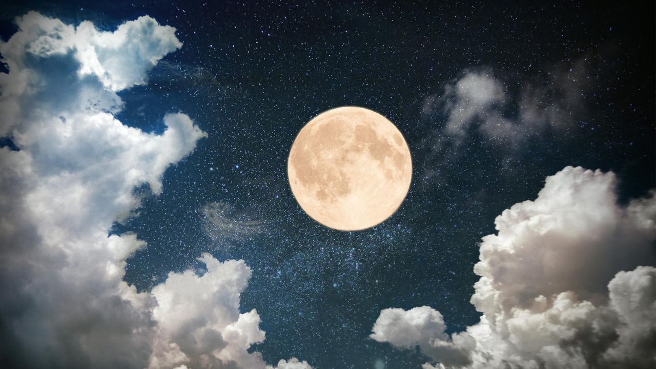 Weekly horoscope from 9 June: The full moon energies offer emotional insights for 3 zodiac signs