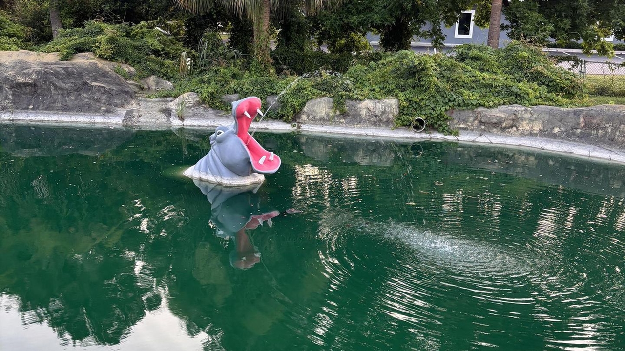 Verborgen afbeelding: Als je de verborgen alligator ziet, dan ben je een echt genie