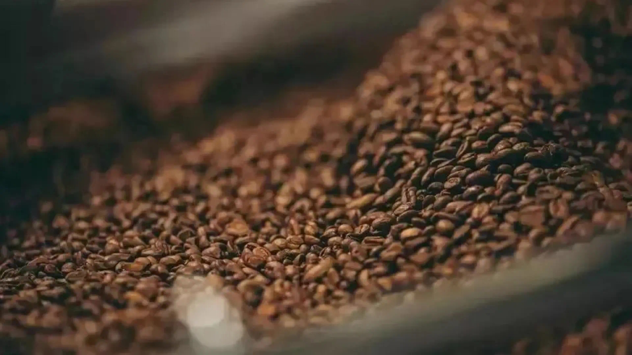 El endocrino Francisco Rosero advierte sobre el café: "Se cree que es bueno tomarlo en ayunas, pero..."