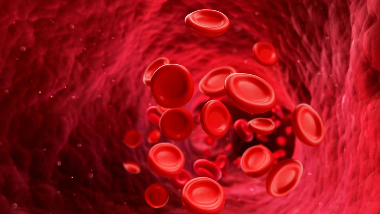Spanish scientists confirm that centenarians have less sugar and uric acid in their blood.