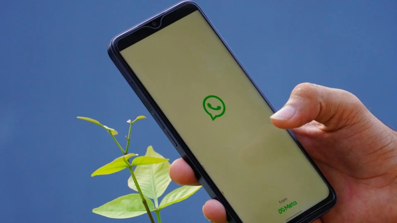 Kann die WhatsApp-KI von Meta Ihre Nachrichten lesen?