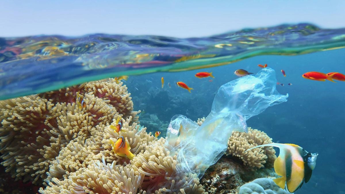 Opinione: da Nizza l'appello a proteggere i nostri oceani