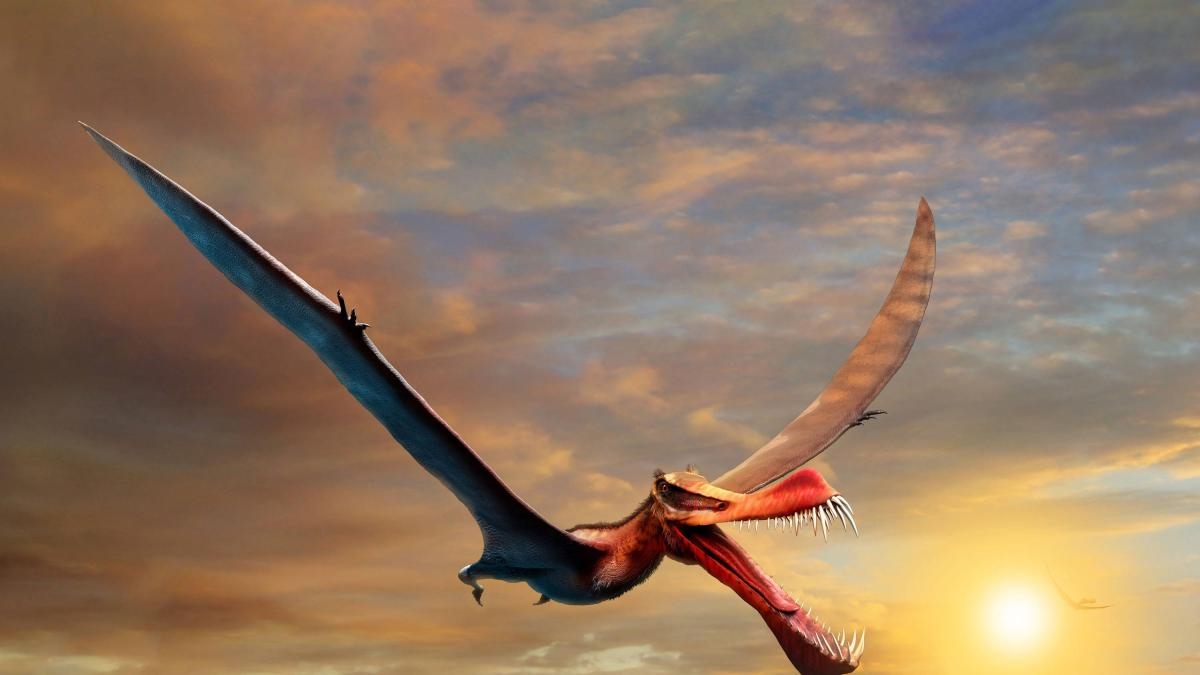Os dinossauros emplumados levaram 150 milhões de anos para dominar o voo.
