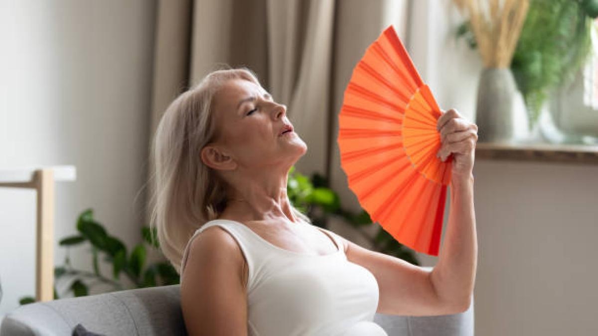 Impacto da menopausa na saúde mental das mulheres: irritabilidade, depressão e ansiedade