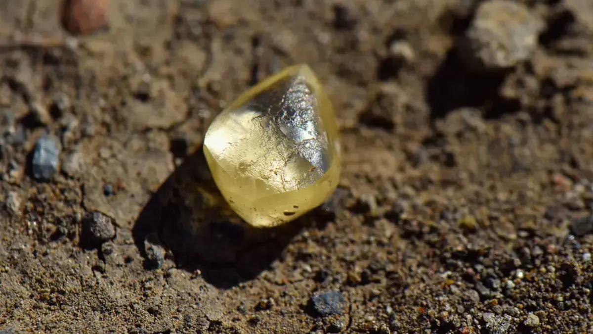 Diamante natural encontrado novamente em parque dos EUA: mulher encontra diamante de 2,3 quilates