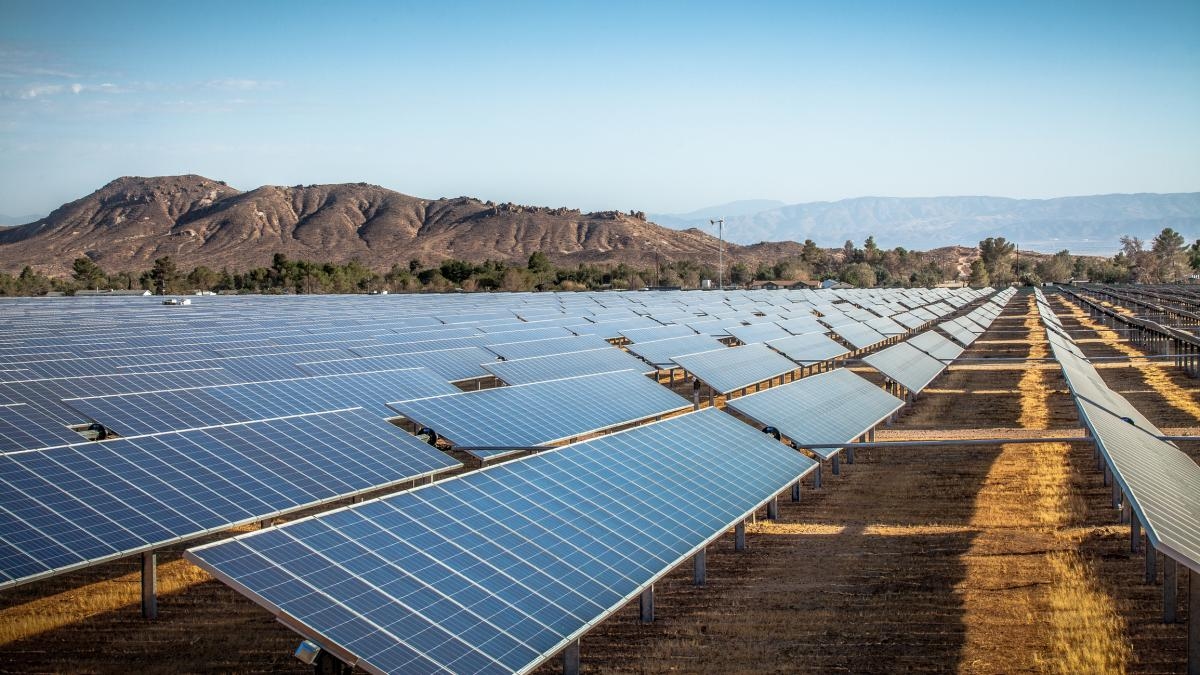 Licencja na projekt solarny, w wyniku którego Cortolima jest w konflikcie z firmą zajmującą się energią odnawialną: CAR utrzymuje, że wymogi nie zostały spełnione.