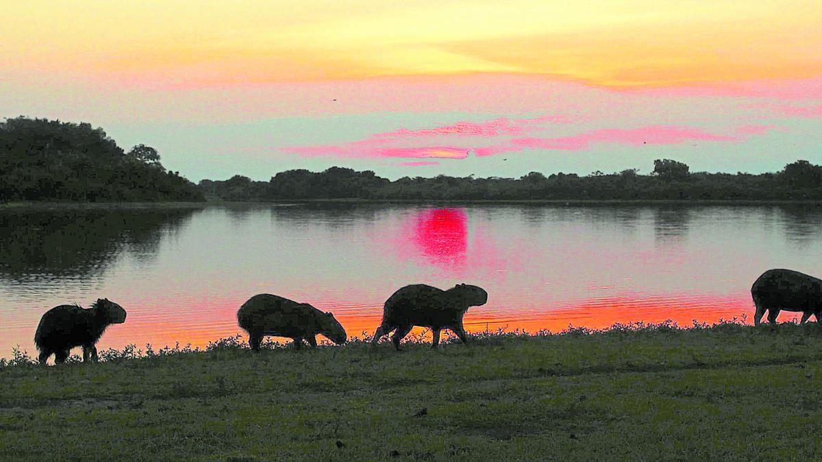 Dez destinos na Colômbia que facilitam viagens sustentáveis: quais regiões se destacam?