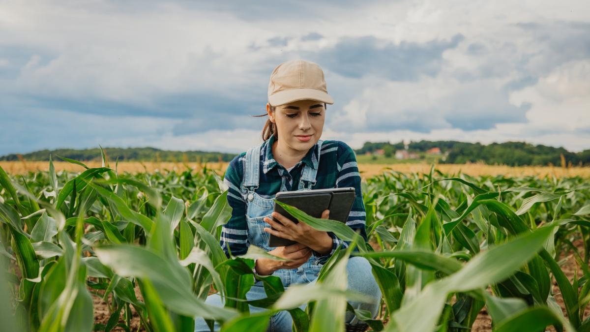 Os jovens são essenciais para o futuro da agricultura e da alimentação globais, diz relatório da FAO