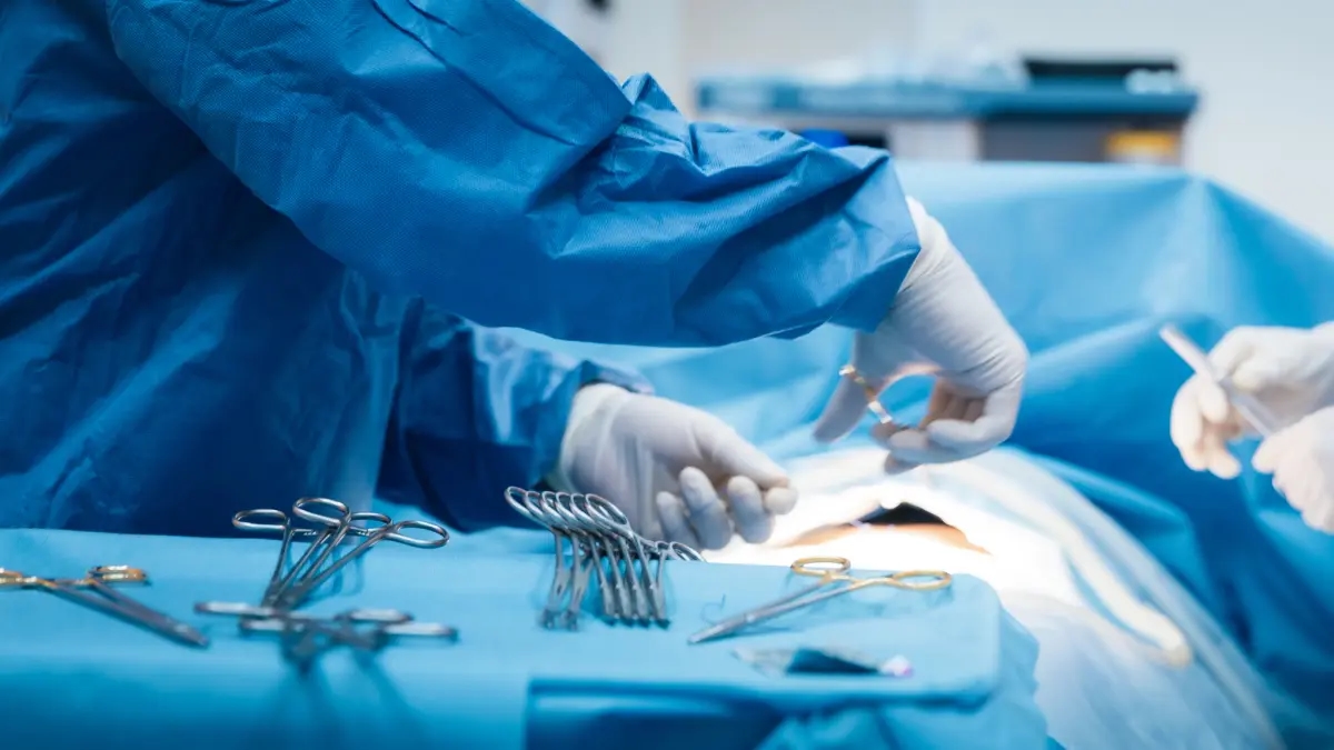 Os receptores de transplantes não precisariam mais tomar medicamentos por toda a vida para evitar que seus corpos rejeitassem o órgão recebido.