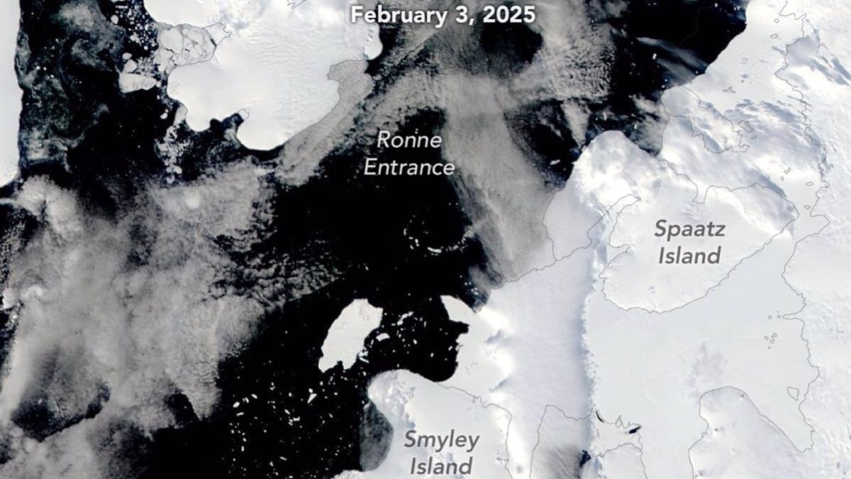 Nuovo iceberg delle dimensioni di Chicago si stacca dall'Antartide