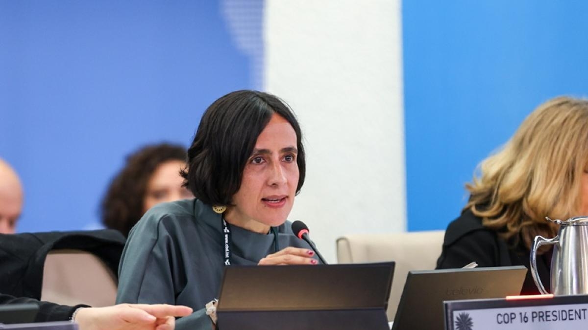 'Bunlar teknik kararlar değil, politik kararlardır': Susana Muhamad Roma'daki COP16'da