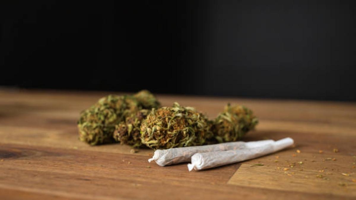 Cannabis use doubles the risk of death from cardiovascular disease, according to a study.