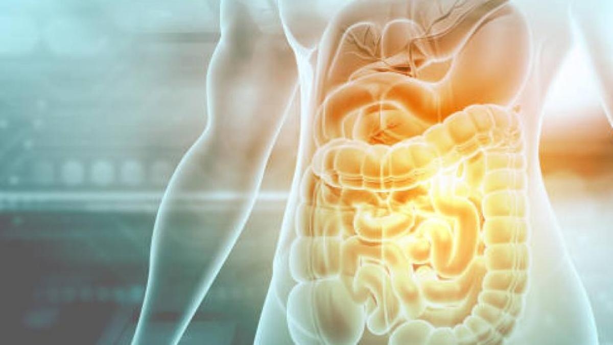 Por qué la microbiota intestinal es vital para el organismo: claves para mantenerla saludable
