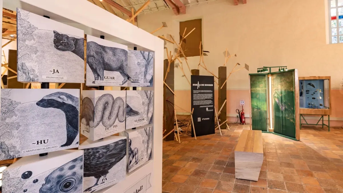 Bioverso, Kolumbiens erstes experimentelles Biodiversitätsmuseum, öffnet in Villa de Leyva seine Türen.
