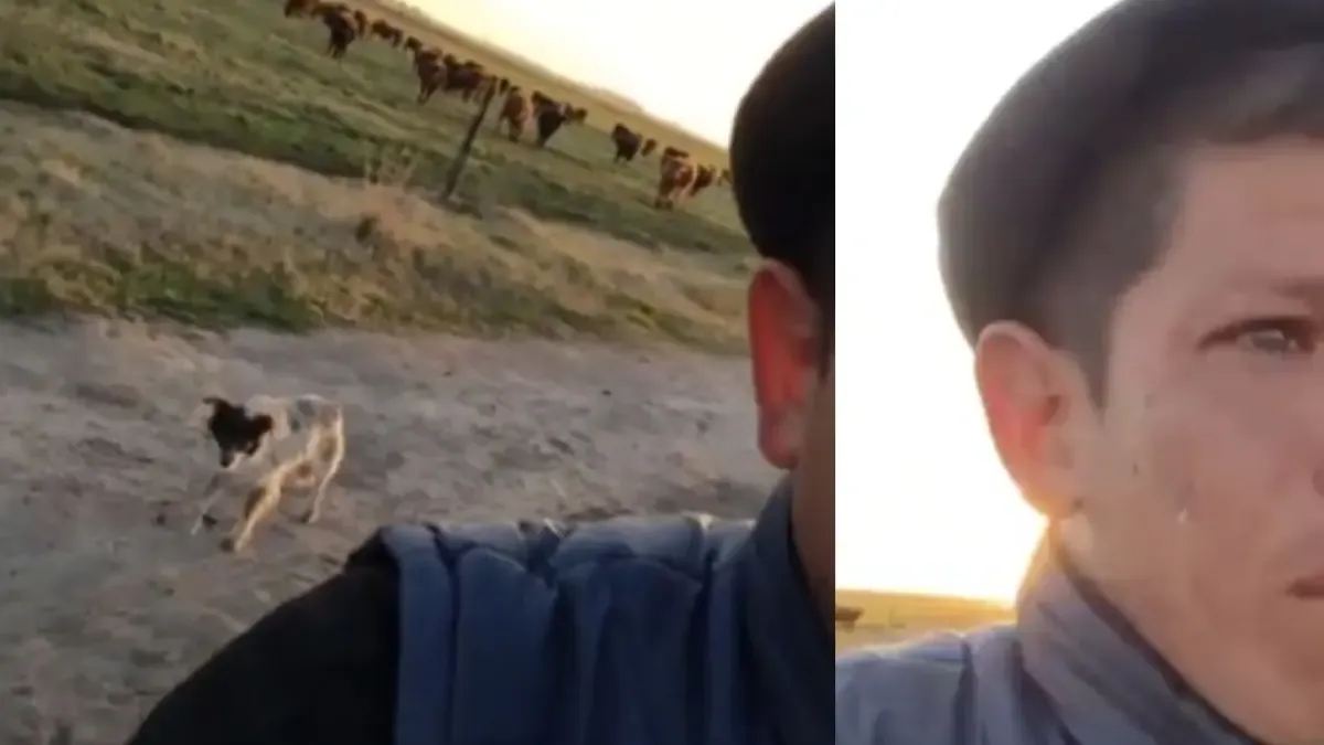 È stato licenziato dal suo lavoro e il video in cui piange perché deve lasciare il suo cane in campagna ha commosso tutti.