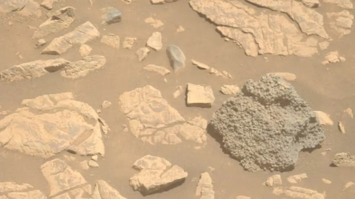 Scoperta intrigante su Marte: una roccia ricoperta di "uova di ragno" lascia perplessa la NASA