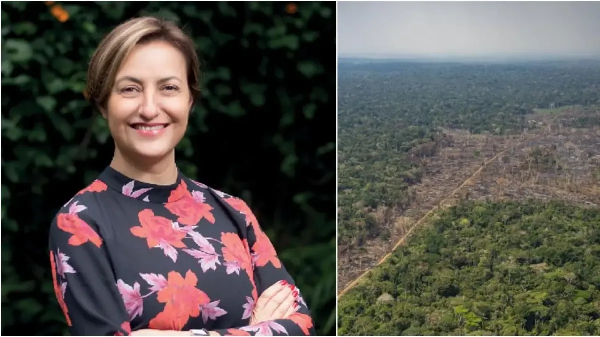„Die Abholzung ist Kolumbiens Achillesferse“: Claudia Vásquez, Direktorin von The Nature Conservancy im Land