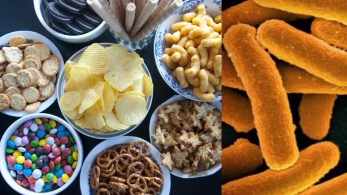 Genes de bactérias resistentes a antibióticos estão se infiltrando nos alimentos: isso foi encontrado em mais de 2.000 amostras de alimentos processados na Europa.