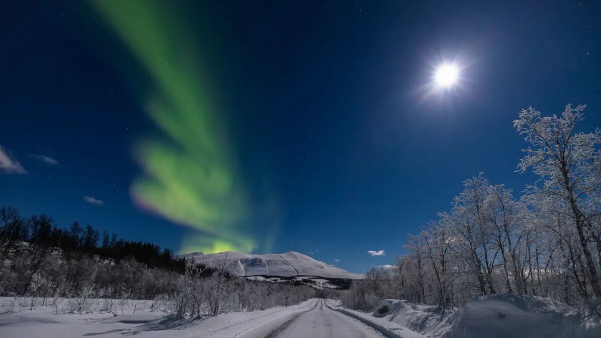 The Northern Lights arrive at the Bogotá Planetarium with the photography exhibition "Northern Lights Hunters"