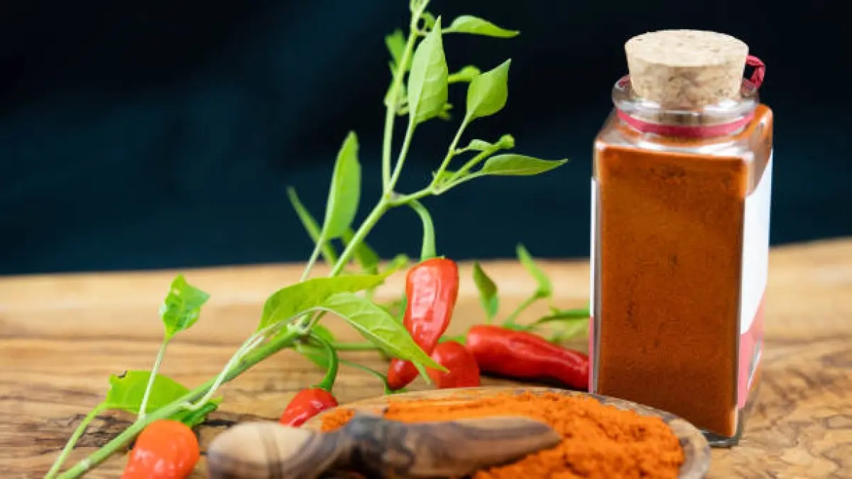Warnhinweis: Zusatzstoff in Tajín kann die Lunge schädigen und die Zellregeneration beeinträchtigen