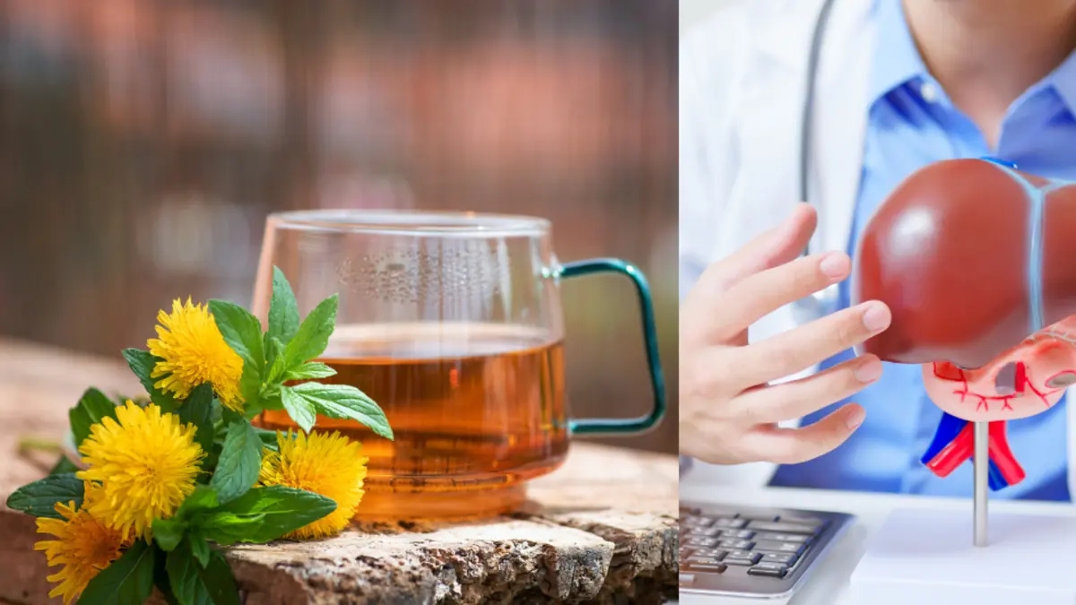 L'herbe efficace qui aide à prévenir la cirrhose du foie, à guérir la stéatose hépatique et à réduire l'inflammation