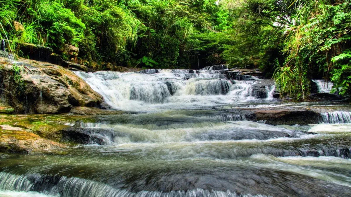 Er wordt verwacht dat het toerisme in Colombia tegen 2025 zal groeien: de Andes en het Caribisch gebied zijn goed voor 94% van de buitenlandse bezoekers.