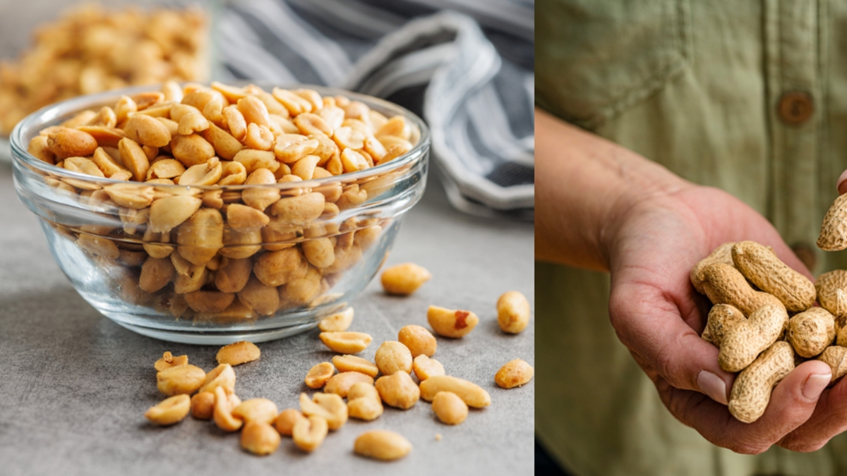 Integre esta leguminosa à sua dieta diária, ela tem mais proteína que os ovos e ajuda a reduzir o colesterol.