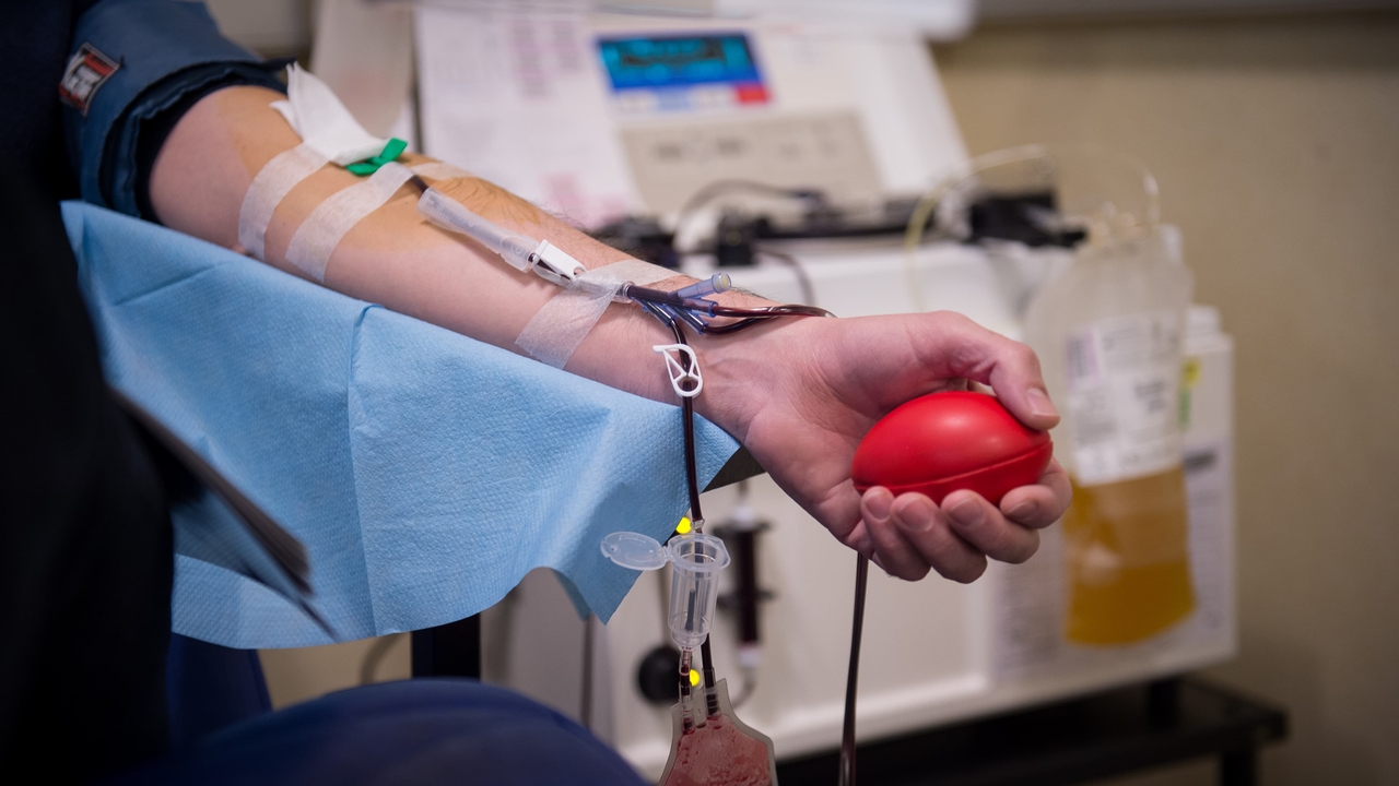 "We need 10,000 more": Insufficient blood donations at the start of summer, the EFS launches an appeal