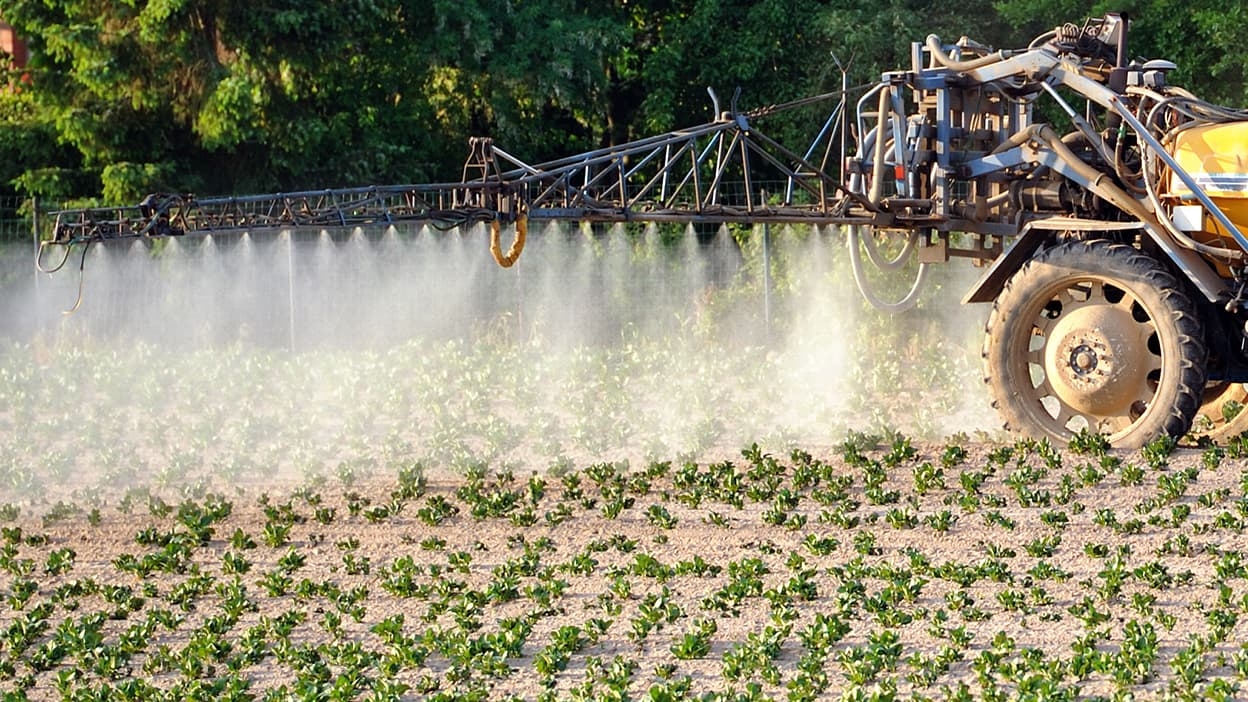 Esposizione ai pesticidi: lanciata una piattaforma per informare sui rischi e sfidare il governo