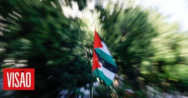 Some practical implications of the recognition of the State of Palestine
