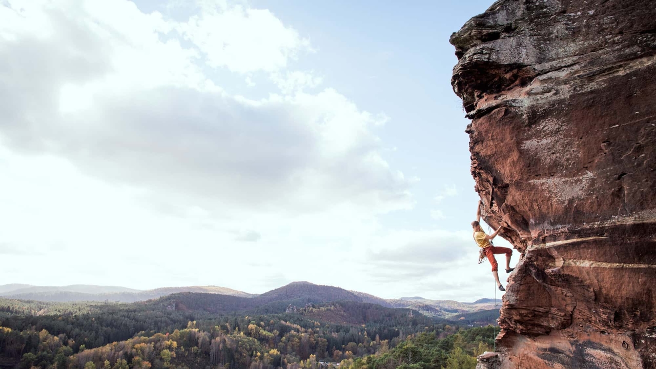 Peace with falcons and eagle owls: How Palatinate climbers prevent rock closures