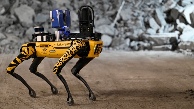 Hong Kong'da chikungunya virüsünü kontrol altına almak için robot köpekler kullanılacak