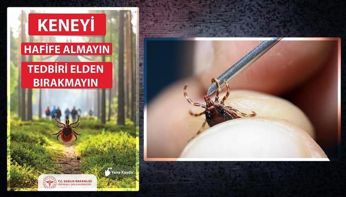 CCHF is terug... Tekenbeten kunnen je ziek maken! Neem voorzorgsmaatregelen tegen infectiegevaar! Deskundigen waarschuwen...