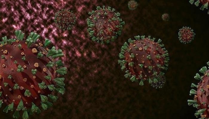 OMS: La vacunación dirigida contra el virus de la viruela M, ampliamente extendido en África, es esencial debido al riesgo persistente de transmisión.