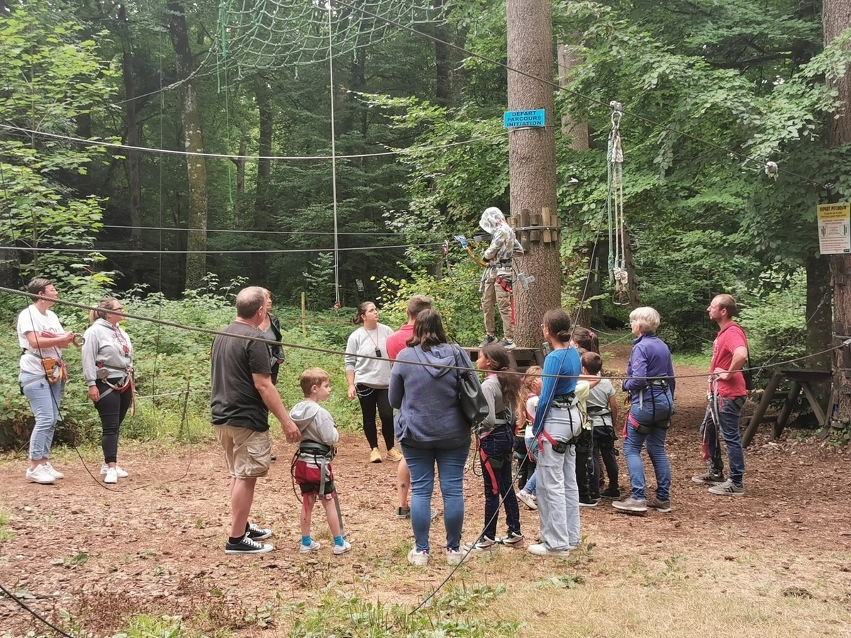 Aventura nas copas das árvores para pequenos saguis