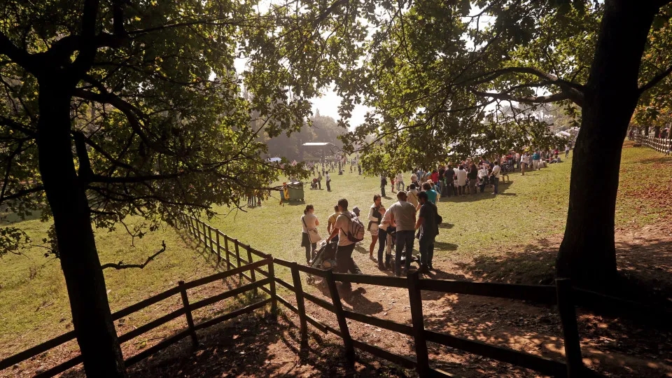 Das Herbstfest kehrt mit 150 kostenlosen Aktivitäten nach Serralves zurück