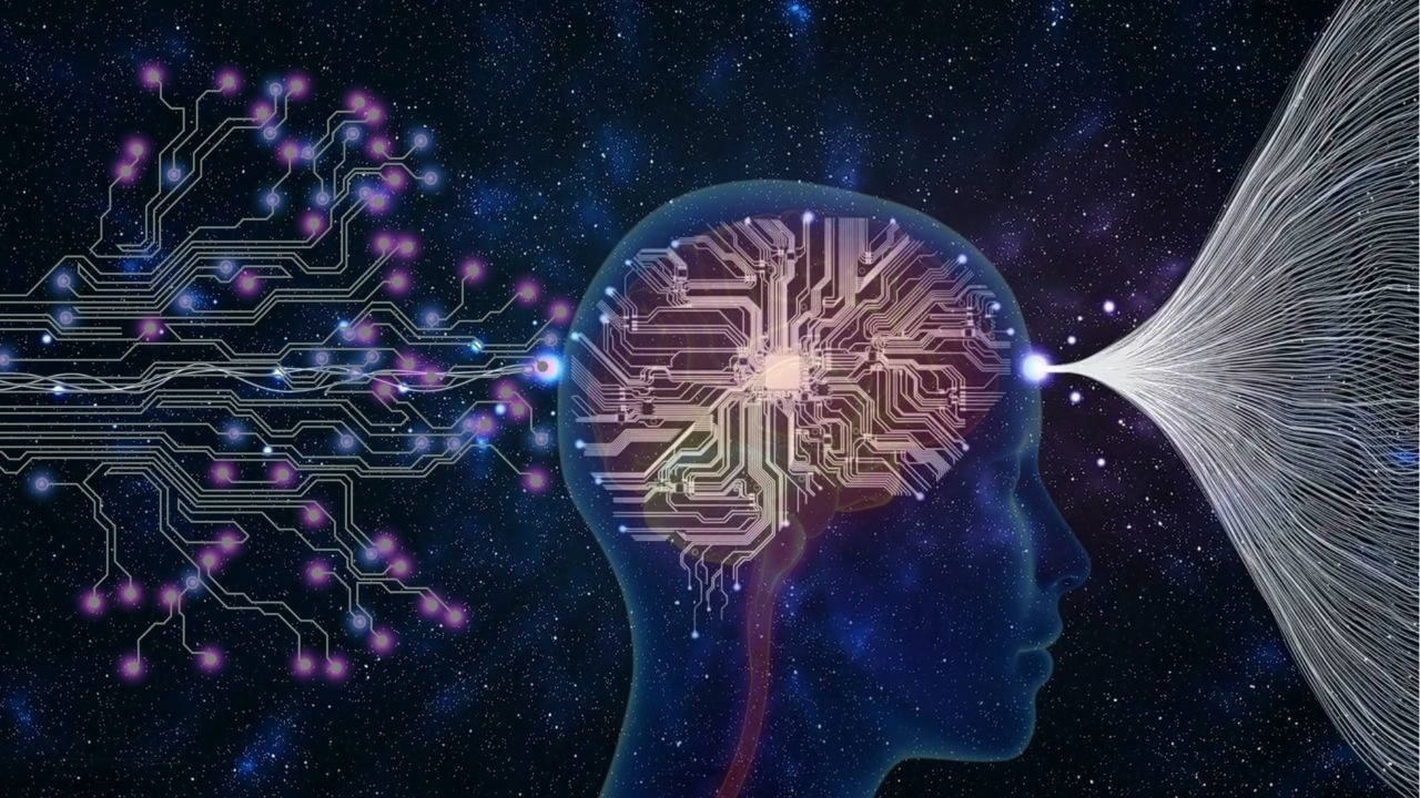 Resulta que los cerebros de los psicópatas son muy diferentes.