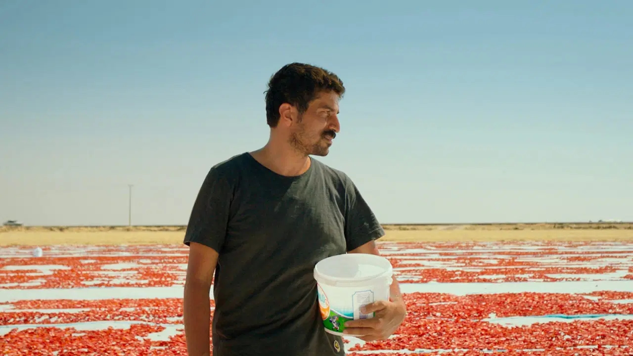 ¡Ya se anunció el nominado de Turquía al Oscar!