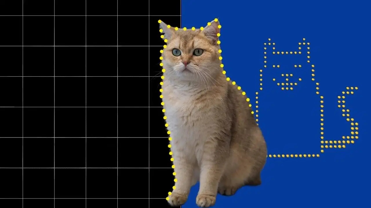 Das kleinste Katzenvideo der Welt wurde erstellt