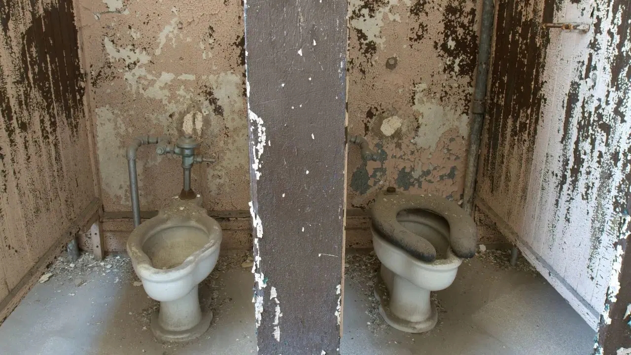 Kann man sich auf der Toilette eine Krankheit einfangen?